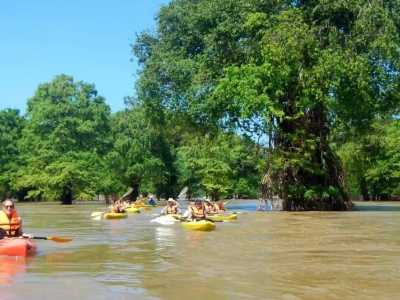 Südostasien - Kratie - 🇰🇭 Kambodscha - Budget Backpacking Trip durch Kambodscha incl. Angkor Wat 🏯 Pfefferplantagen 🌿 & Inselwelten 🌅 - 3