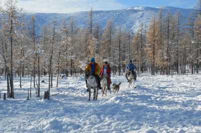Mongolia - Ulaanbaatar - Mongolia Winter expedition: Meet the reindeer herders of the Taiga and visit the frozen Khuvsgul lake - 2
