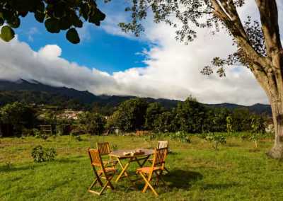 Portugal - Santana - 🌅 The Hawaii of Europe: MADEIRA! 🌤️ Private Authentic Thatched Farm Villa, Hiking, Wine Tasting, Beaching and Vibes!! - 9