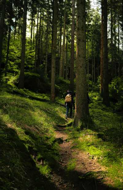 Germany - Bad Griesbach im Schwarzwald - Best of the Black Forest, Germany with my huskies 🇩🇪🐾 | Hiking | Outdoors | Historic towns - 2