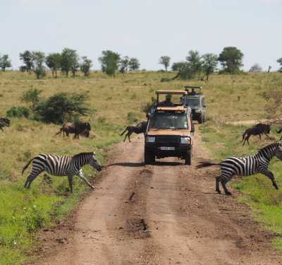 Tansania - 4 Day Group Safari to Tarangire, Serengeti & Ngorongoro Crater - JoinMyTrip