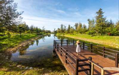 Taiwan - Taitung Forest Park - 🇹🇼 Taiwan by Rail: 16 Days of Cherry Blossoms, Culture, & Coastal Views 🏮 (PRIVATE ROOMS)