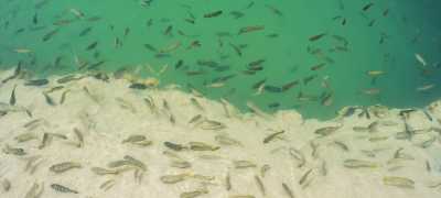  - IMLILI DESERT - Visiting Dakhla, Morocco: The Pearl of Moroccan Sahara while Co-Working (private room) - 1