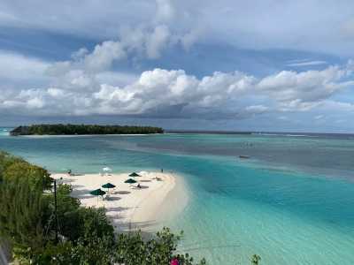 Malediven - ADDU Nurse Shark Sanctuary - Discover Maldives: Your Ultimate Adventure Escape! 🌊✨ - 1