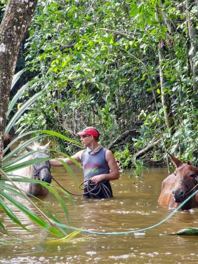 Guatemala - Antigua Guatemala - Into the Jungle: Volcanoes, Atitlán & El Mirador Trek - 1