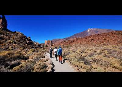 Spain - Mount Teide - Tenerife Spa & Wellness Retreat 🏝 - amazing sea & montain view, infinity pool, jacuzzi, sauna, healing, massage therapies