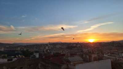Morocco - Fès - Moroccan Roadtrip - Into the Desert - 2