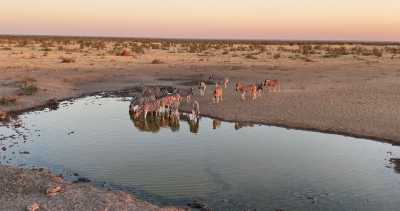 Namibia - Etosha National Park - Namibia - Eine unvergessliche Reise im 4x4 Fahrzeug mit Dachzelt