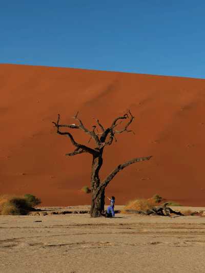 Namibia - Sesriem - Namibia : Road Trip Safari Adventure - 8