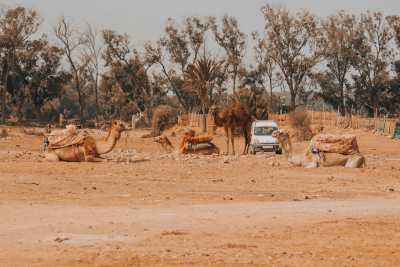 Morocco - Agadir - 🏖️ Agadir Getaway: Sun, Surf & Hidden Gems of Morocco - 3