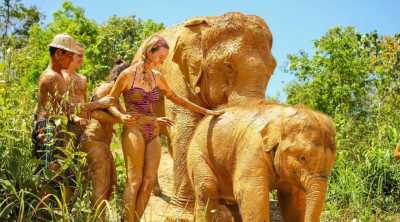 Thailand - Elephant Jungle Sanctuary Phuket - Summer in Phuket - sunset cruise, unforgettable moments and exploring Thailand