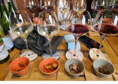 Südafrika - Cape Town - Women's Wellness Journey - Sacred Sisterhood - 9