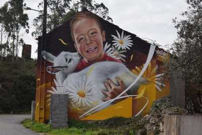 Portugal - Serras de Aire e Candeeiros Natural Park - Exploring with a Local through The Center of Portugal [Olive Oil tasting] - 3