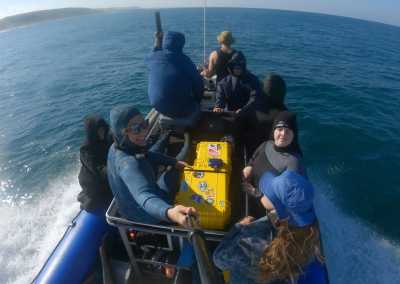 South Africa - Mdumbi - 🇿🇦 South African Sardine Run Expedition - 1 Week INSIDE a Nature Documentary 🐬 - 15