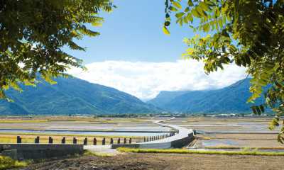 Taiwan - Chishang - 🇹🇼 Taiwan by Rail: 16 Days of Cherry Blossoms, Culture, & Coastal Views 🏮 (PRIVATE ROOMS) - 1