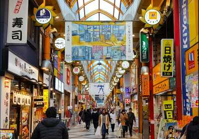 Japan - Nakano Broadway - 🍜 The Golden Route Reimagined: 14 Nights Through Osaka, Kyoto, Hikone & Tokyo 🎎 (PRIVATE ROOMS)