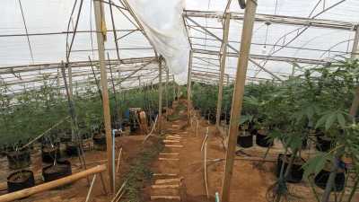 Thailand - Chiang Mai - 🇹🇭 Thailand XL Backpacking für Einsteiger & Alleinreisende 🎒 - Inseln 🏝️, Strände 🤿, Berge ⛰️ & Natur 🌺 - 3