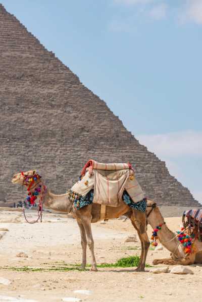 Ägypten - Pyramids of Giza - Egyptian Escapade: Exploring Hurghada, Cairo, and Luxor - 4