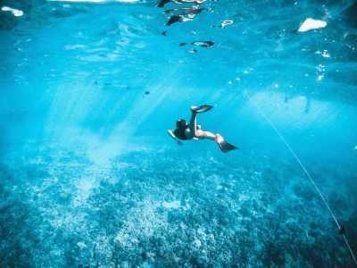 Montenegro - Budva - Adventures In Montenegro - Boat Trips, Hiking & Snorkeling