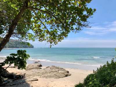 Costa Rica - Playa Blanca - Inclusive Playa Naranjo Creative Reconnection Adventure