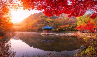 Korea, South - Naejangsan National Park - 🌊 🍂 Busan Reset: Where Fall Foliage Meets Coastal Sunsets 🌇 🇰🇷 - 4