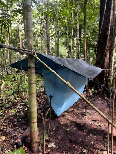Colombia - Amazonas - 9-tägige Survivalexpedition durch den Amazonas - 2
