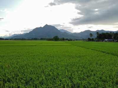 Philippinen - Brooke's Point - Palawan Paradise Exploration: From El Nido to Balabac, Philippines - White Beaches to Cultural Delights! - 5