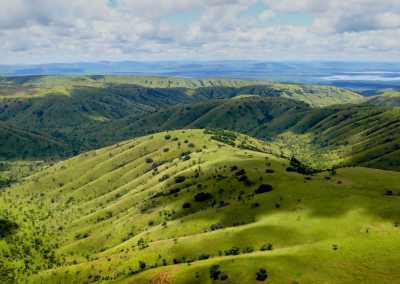 Ruanda - Akagera National Park - RWANDA! Self-drive 4x4 landcruiser 🐒🦍🍃 Chimpanzee tracking, Canopy walk, Tea plantation, Volcanoes National park 🇷🇼 - 3