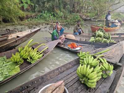 Bangladesch - Barishal - Bangladesh Adventure – Between Rivers, Tea Hills & Ancient Cities - 3