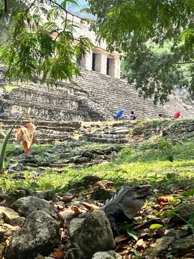 Mexiko - Palenque - Discover Mexico with a local... Chapter : Pacific Ocean beaches, Riviera Maya, and enchanting waterfalls, Join us for an unforgettable adventure! - 3