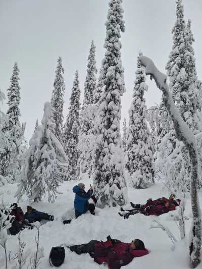 Sweden - Lannavaara - Wild North Expedition Above The Arctic Circle - Snowmobiling, Northern Lights & Dog Sledding - 2