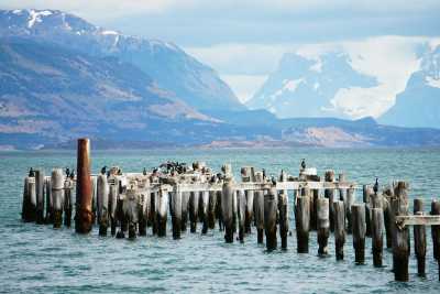 Chile - Puerto Natales - 4 Days in Patagonia: Torres del Paine, Glaciers & Condors - 2