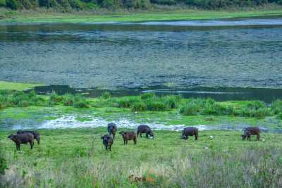 Kenya - Marsabit - CHALBI DESERT ADVENTURE - 12