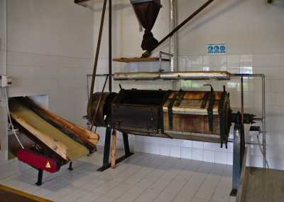 Portugal - Gorreana Tea Plantation - 🌿🦖🌋 A Trip Right out of Jurassic Park: The Azores Wild Islands! 🍃 - 3