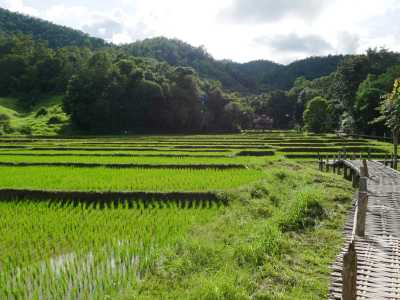 Thailand - Pai Walking Street - 🇹🇭 Thailand entdecken (Teil 2) - Nordthailand: Kultur, Party & Natur in Chiang Mai, Pai & Sukhothai 🍻🏯🌿🐘 - 3