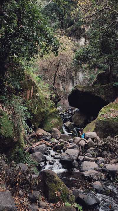 Portugal - Rabaçal - 💻Digital Nomad Co-Living & Adventure in Madeira 🌿🌅 Christmas lights, Yoga, Sunsets and more.. - 2