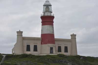 South Africa - Hermanus - Traumreise Südafrika: Das Kap, der Wein, die Wale und Höhepunkte der Garden Route - 1