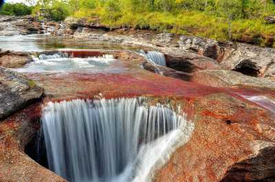 Colombia - Caño Cristales - 4 Days Caño Cristales: Colombia's River of Five Colors