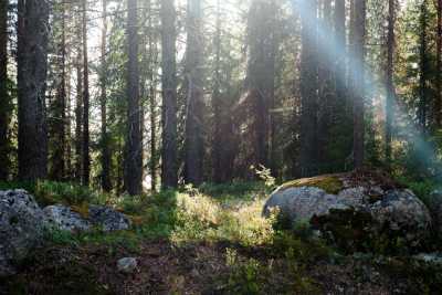 Schweden - Storberg Fjällgård AB - Discover the wilderness of Swedish Lapland - 1