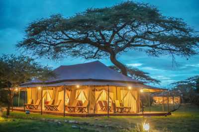 Tanzania - Serengeti National Park - Tanzania Big Five Safari & Wildlife Photography Expedition | Serengeti & Ngorongoro - 2