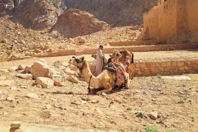 Egypt - Jabal Mousa - Exploring the Beauty of Dahab & Cairo: A Journey through Desert and Sea - 3