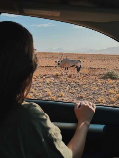 Namibia - Sesriem - Namibia : Road Trip Safari Adventure - 18