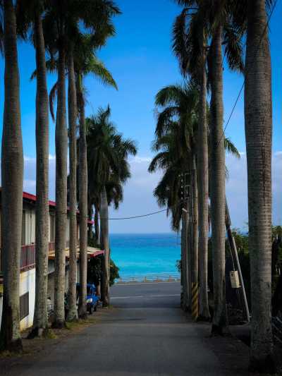Taiwan - Taitung - 🇹🇼 Taiwan by Rail: 16 Days of Cherry Blossoms, Culture, & Coastal Views 🏮 (PRIVATE ROOMS) - 2