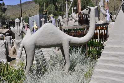 South Africa - Ganora Guestfarm, Camping & Excursions - Entdecke Südafrika: Die Kapregion - jenseits der touristischen Trampelpfade - 7