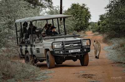 South Africa - Dinokeng Game Reserve - 7 Days South Africa Big Five Safari & Wildlife Photography Expedition!