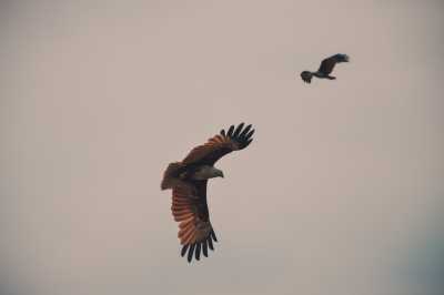 Malaysia - Kuala Selangor - Explore Amazing Kuala Lumpur, Malaysia with a Local and Travel Photographer - 6