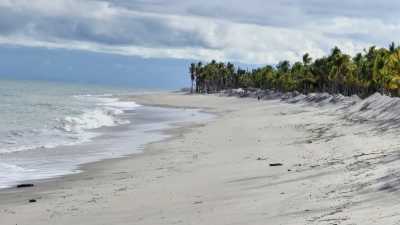 Panama - Playa Blanca - PANAMA - Das Paradies zwischen zwei Ozeanen: Entdecke Panamas unberührte Vielfalt in 10 Tagen 🦥🌴 - 8