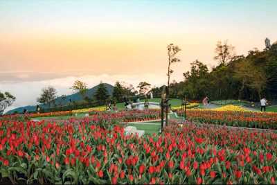 Vietnam - Bà Nà Hills Cable Car - 🇻🇳 Iconic Vietnam Unveiled: From Emerald Bays to Lantern-lit Streets 🏮 - 8