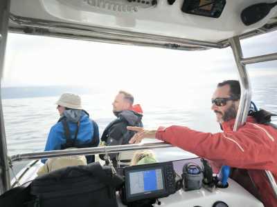 Südafrika - Cape Town - 🌞Ultimate 10-Day South Africa Road Trip🇿🇦Cape Town & The Garden Route – 🌊Adventure, Nature & Epic Vibes! - 18