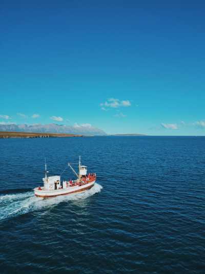 Island - Akureyri - Winter Adventure in Iceland: Volcanos, Waterfalls, Natural Thermal Pools and Breathtaking Landscapes - 1